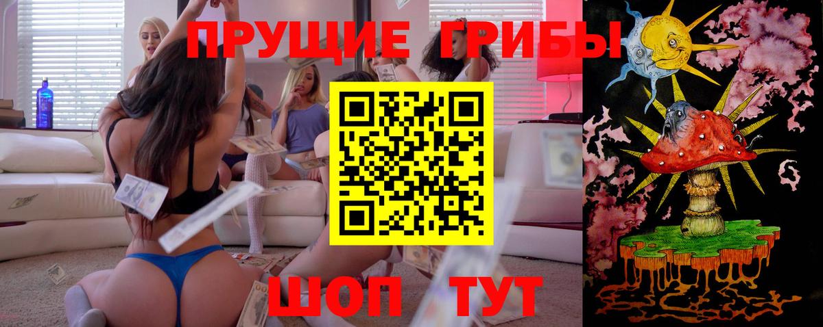 Псилоцибиновые грибы Cubensis Ачхой-Мартан
