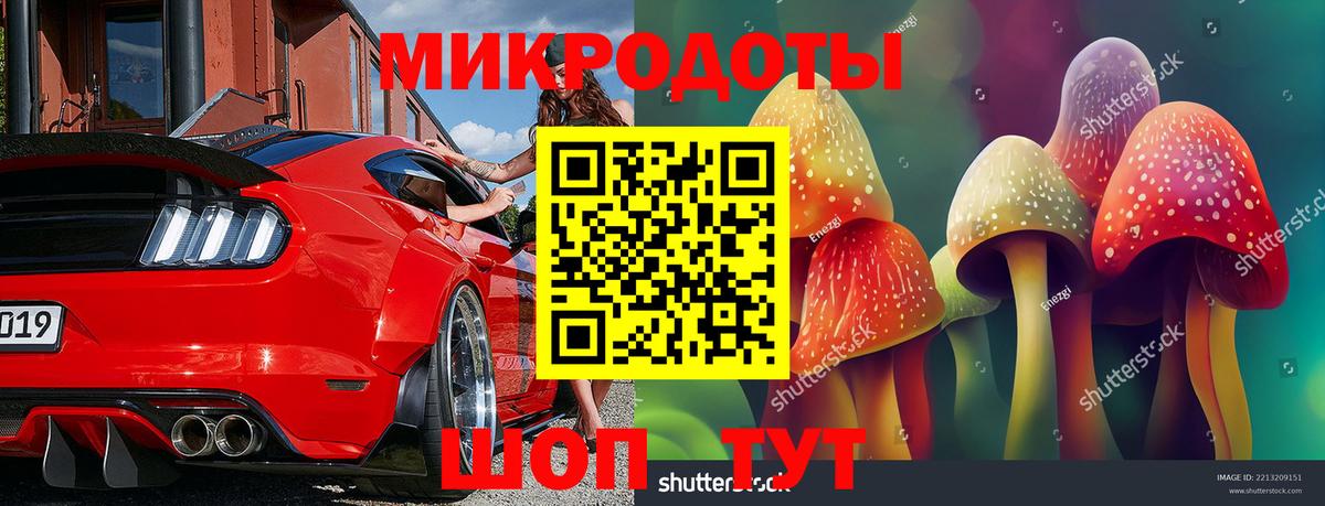 Ачхой-Мартан  Галлюциногенные грибы ЛСД  Вход с VPN 